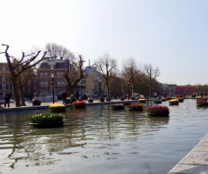 Amsterdam park Dos and Dont's In Amsterdam #amsterdamtravel #amsterdamattractions