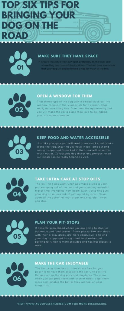 six tips for bringing dogs on the road #dortravel #dogsinthecar #dogroadtrip
