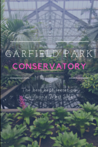 Garfield Park Conservatory: The best kept secret on Chicago's West Side #chicagoattractions #garfieldparkconservatory #chicagoswestside #beautyofplants 