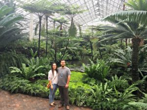 Garfield Park Conservatory: The best kept secret on Chicago's West Side #chicagoattractions #garfieldparkconservatory #chicagoswestside #beautyofplants 