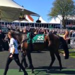 Liverpool, England Horse Racing event, Attend the Grand National #Aintreeraccourse #liverpoolevents #britishevents #horseracing