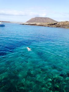 Elba Carlota Resort #Fuerteventura #fuerteventuraresorts #elbacarlota