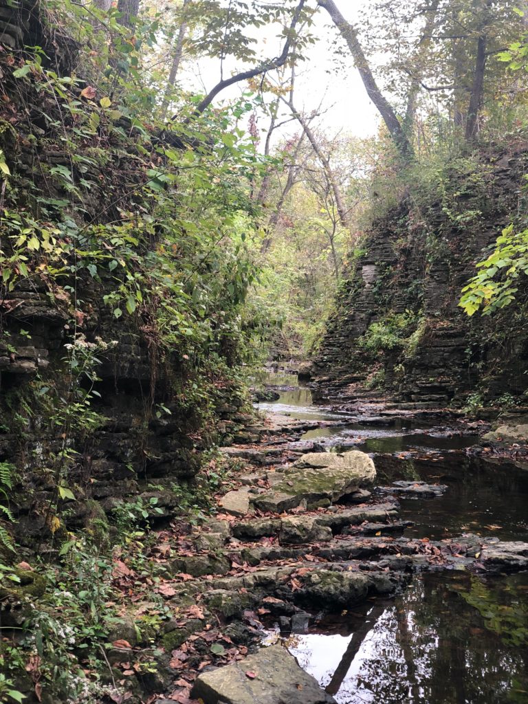 Touring Cook County's Only Canyon #illinoisforespreserves #SagawauCanyon #ancientgeology #midwestadventures
