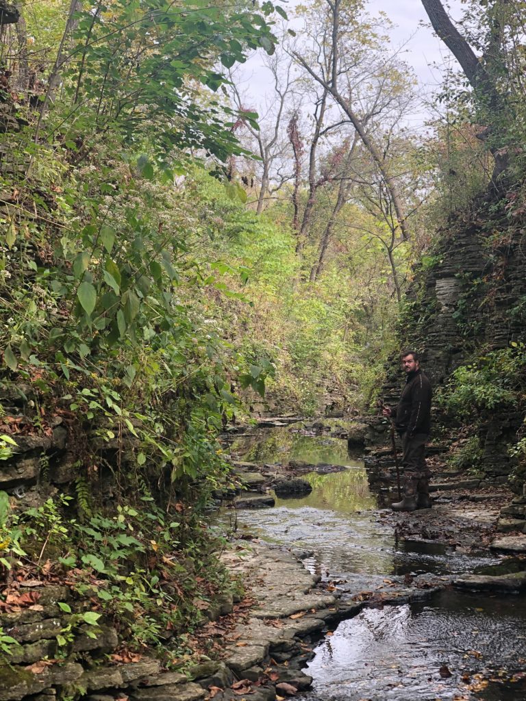 Touring Cook County's Only Canyon #illinoisforespreserves #SagawauCanyon #ancientgeology #midwestadventures
