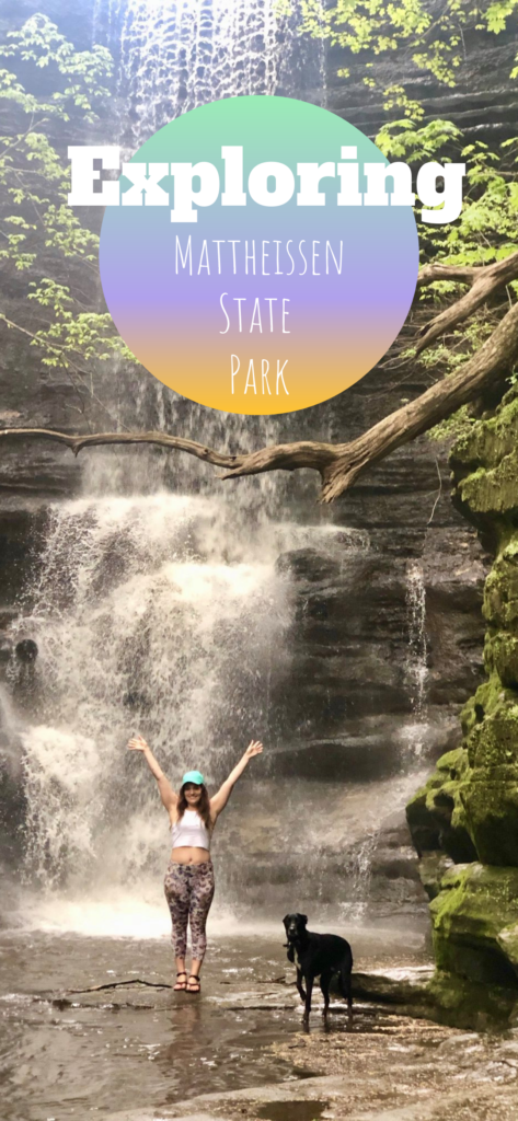 Our Visit to Matheissen State Park #explorematheissenstatepark #visitmatheissenstatepark #hikingmatheissenstatepark #illinoishiking #petfriendlyhiking #illinoisstateparks